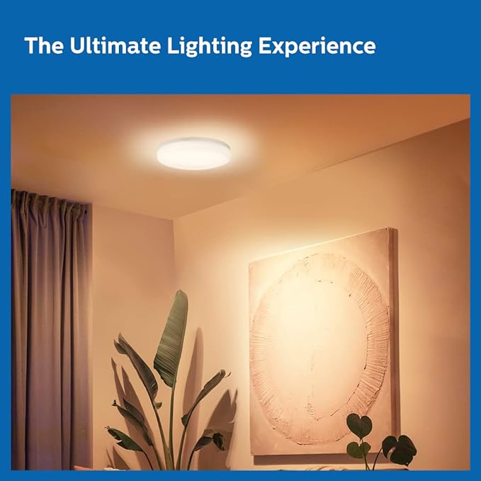 Philips Concealed Light None LED CONCEALED LIGHT 12W MAKE PHILIPS